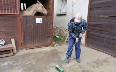 Praxe na farmě