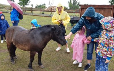 Výlet do Zooparku Zelčín